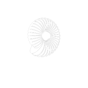 3D Epix Inc.