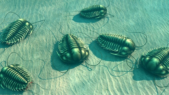 Trilobites.jpg